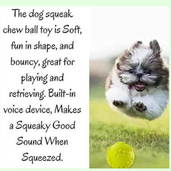 Foodie Puppies 2in1 Dog Toy Combo - (9inch Bone + Claw Ball) | Natural Latex Rubber Toys for Medium to Large Dogs | Durable, Chewing, Fetching, Playing, Teething & Training Chew Safe Play Toy