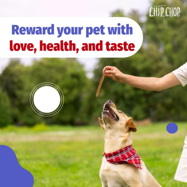 Chip Chops Chicken & Codfish Sandwich Dog Treats | Nutritious, High Protein, Easily Digestible Snack for Dogs | Healthy Fish & Chicken Treat for All Breeds, 70 gm