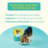 71TV8onUhhL._SL1500_.jpg Good Dog Puppy Dry Dog Food | Oven Baked | Fresh Chicken & Eggs | 1.3 kg | Palatable Meal for Healthy Growth, Strong Bones, Immunity & Digestion | Nutritionally Crafted & Suitable for All Breeds
