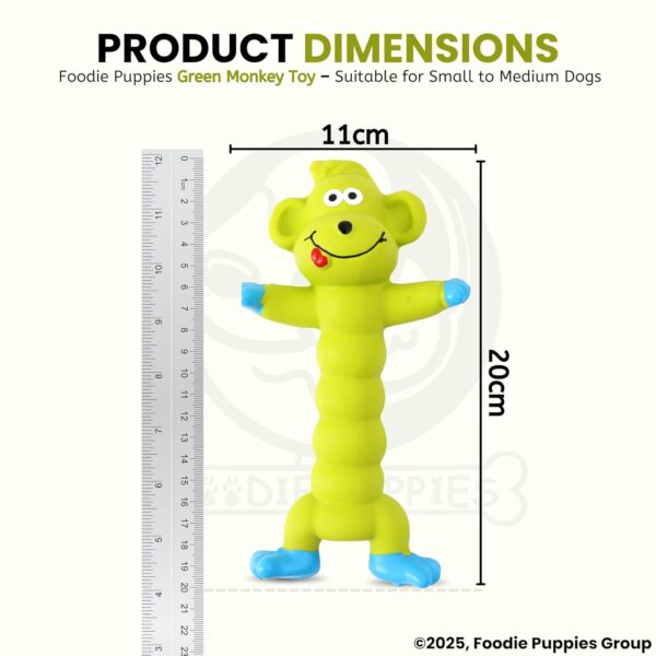 Foodie Puppies Interactive Latex Squeaky Chew Dog Toy - (Green Monkey, 20cm) | Small to Medium Dogs & Puppies | Durable, Rubber, Non-Toxic, Animal Design Playing & Fetching Pet Toy | Reduce Anxiety