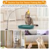 71UhEzHxNCL._SL1500_.jpg Qoosea Cat Feather Toys, Interactive Cat Toys with Teaser Wands and Strong Suction Cup, Cat Toys for Indoor Cats Kitten Interactive Training (Colorful-15j)