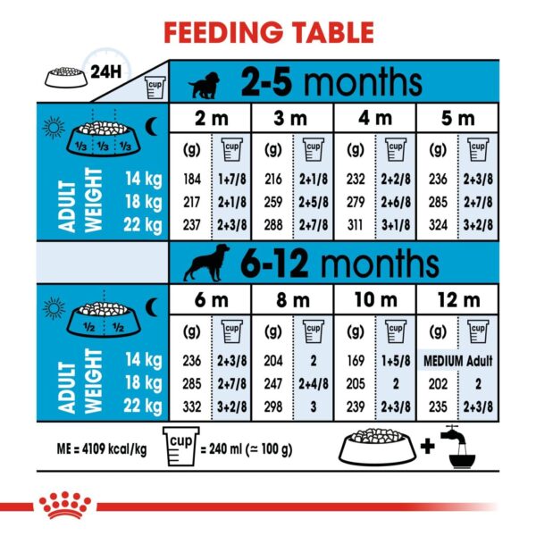 Royal Canin Medium Puppy Food, 1 Kg, Dry Food, Supports Digestive Health & Immune System, Provides Short Growth & High Energy Content