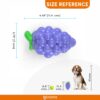 71V2r-FB-L._SL1500_.jpg BarkButler x FOFOS Fruity-Bites Loud Grape- Chew & Squeaky Toys for Dogs, Dog Toys for Large Dogs (10-30kgs) - Purple