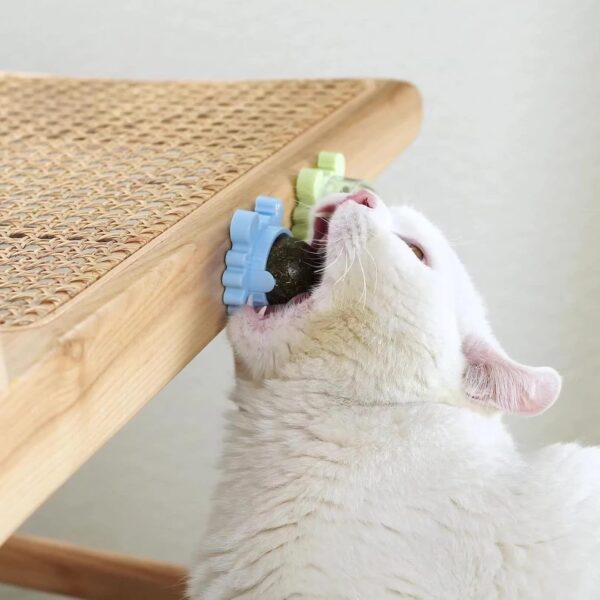 Catnip Wall Toys, Teeth Cleaning and Biting Balls for Cat/Kitten, Edible Licking Chew Toy, Rotatable Indoor Cat Toy (Green,1 Pcs)