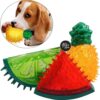 The Pets Company Puppy Chew Toy, Squeaky Dog Toy, Pineapple