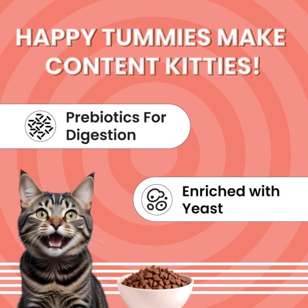 Bark Out Loud Essentials Adult Dry Cat Food | Fresh Fish & Chicken | Hairball Control | with Taurine, Antioxidants & Prebiotics | Complete & Balanced Nutrition - 1Kg
