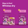71WTUZFCOuL._SL1500_.jpg Whiskas Junior Mother Cat & Kitten (2-12 Months) Dry Cat Food, Mackerel Fish Flavour, 450 g, Contains 41 Essential Nutrients, Complete & Balanced Nutrition for Mother Cats & Kittens