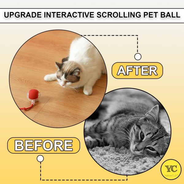 71X4wR5a40L._SL1500_.jpg Automatic Rolling Cat Ball Toy, 2-Speed Modes, Teasing Tail & Bell Charm, Interactive Self Play Chasing Silicone Ball Toy for Indoor Cats