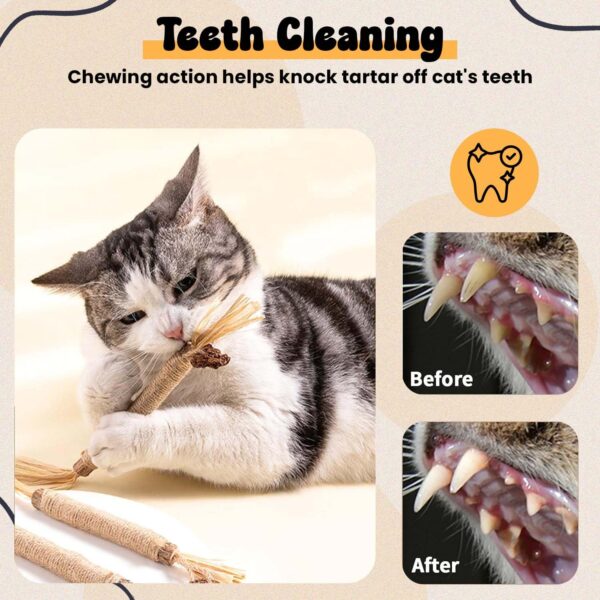 71XELPo8ukL._SL1500_.jpg Silvervine Cat Toy - 1 Pack, Natural Matatabi Sticks for Indoor Cats, Kitten Chew Toys, Aggressive Chewers, Dental Toy for Kitten Teeth Cleaning