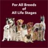 Meat Up Calcium Bone Jar, Dog Supplement Treats For All Life Stages - Meat Flavour, 240 g, 30 Pieces (Buy 1 Get 1 Free)