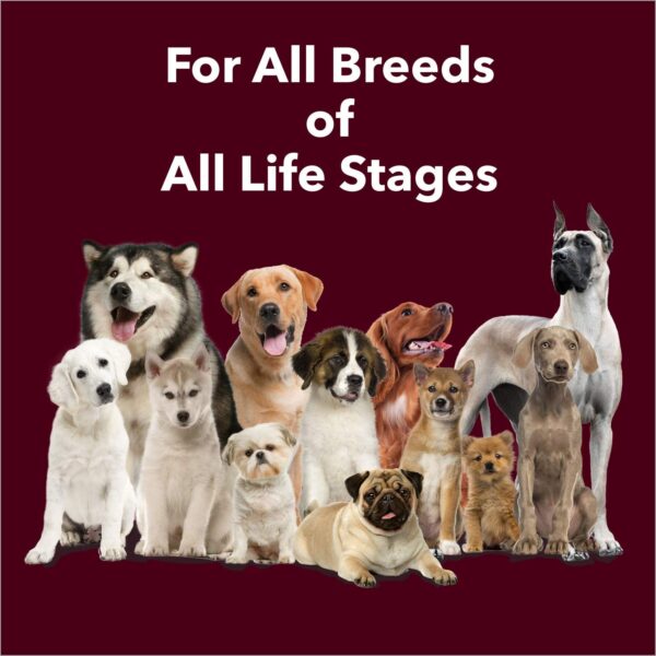 Meat Up Calcium Bone Jar, Dog Supplement Treats For All Life Stages - Meat Flavour, 240 g, 30 Pieces (Buy 1 Get 1 Free)