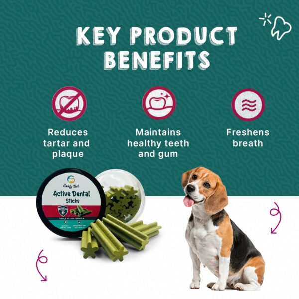 71XOFdcgIpL._SL1500_.jpg Goofy Tails Active Seaweed Dental Stick 220g, Dog Treats Vegetarian, Dental Sticks for Dogs, Chew Sticks for Dogs, Dog Treats for Adult Dog and Puppies, Dog Chew Stick