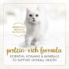 Purina Fancy Feast Classic Multi-Pack Cat Food - (24) 3 oz. Cans