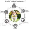 Goofy Tails Dog Toys, Rubber Dumbbell Treat Dispensing Toys for Dogs, Non-Toxic Chew Toys for Dogs, Ideal Interactive Dog Toy for All Breeds and Sizes
