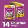 71XuRTfBs9L._SL1500_.jpg Whiskas Adult (1+ Years) Wet Cat Food, Chicken in Gravy, 80 g (Pack of 14), Hydrating Food Made With Real Chicken, 100% Complete & Balanced Nutrition for Adult Cats
