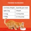 71XwFiluptL._SL1500_.jpg Goofy Tails Wet Cat Food and Kitten Food 3 Combo, 1050g (15 Pouches x 70g), Tuna and Anchovies, Mackerel and Seaweed, Chicken and Flaxseeds, Preservative Free, Wholesome, Natural Cat Wet Food