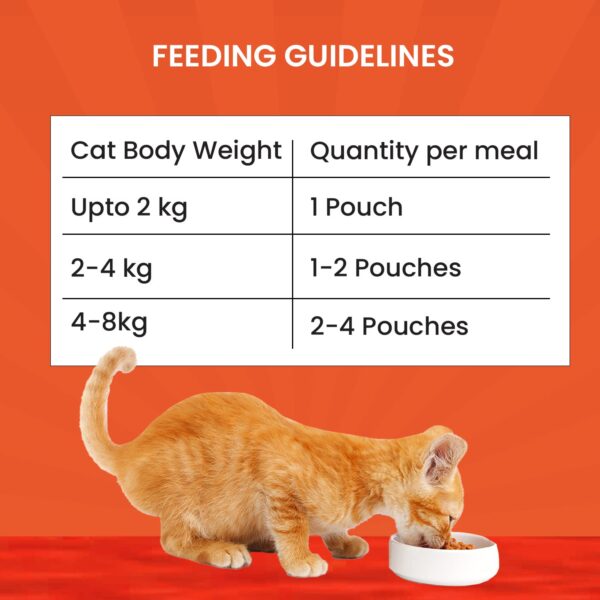 71XwFiluptL._SL1500_.jpg Goofy Tails Wet Cat Food and Kitten Food 3 Combo, 1050g (15 Pouches x 70g), Tuna and Anchovies, Mackerel and Seaweed, Chicken and Flaxseeds, Preservative Free, Wholesome, Natural Cat Wet Food