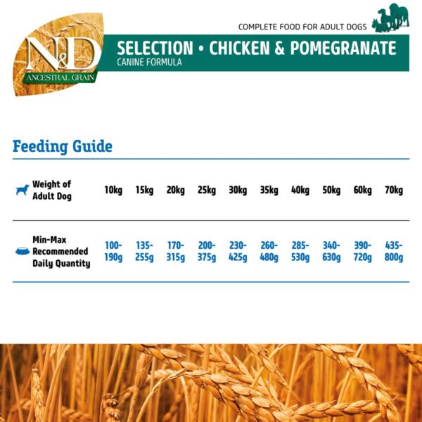 71Y5sASUuL._SL1200_.jpg FARMINA PET FOODS Ancestral Grain Selection Dry Dog Food, Adult Medium & Maxi Breed, 12kg + 3kg Free, Chicken and Pomegranate
