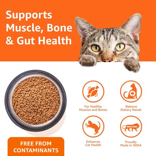 Amazon Basics Dry Cat Food | 1 Kg Trial Pack| Ocean Fish | with Real Chicken Meat & Fish | Suitable for Adult Cats | Packed with Protein | Suitable for All Breeds