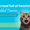 BARK OUT LOUD - Wet Cat Food Fresh Mackerel & Tuna | Omega Enriched, Salmon Oil, Taurine | No Sugar Gravy Cat Food for All Breeds | 85g (Pack of 6)