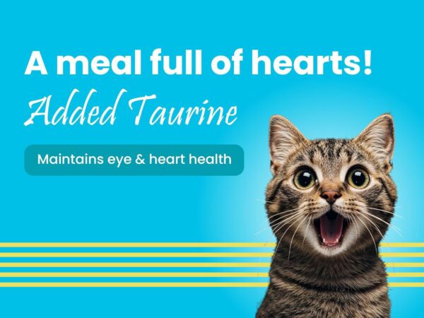 BARK OUT LOUD - Wet Cat Food Fresh Mackerel & Tuna | Omega Enriched, Salmon Oil, Taurine | No Sugar Gravy Cat Food for All Breeds | 85g (Pack of 6)