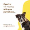 71YIFuT8G5L._SL1500_.jpg Barkbutler x Dogfest Dog Training Treats, Turkey & Flax Seeds, Superfood Treats for Adult Dogs, Bite-Sized Dog Treat for Puppies, 100% Natural Treats, Aids Digestion & Boosts Immunity