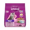 Whiskas Junior Mother Cat & Kitten (2-12 Months) Dry Cat Whiskas Junior Mother Cat & Kitten (2-12 Months) Dry Cat Food, Mackerel Fish Flavour, 450 g, Contains 41 Essential Nutrients, Complete & Balanced Nutrition for Mother Cats & Kittens