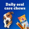 71Z2KIOJALL._SL1200_.jpg Pedigree Dentastix Oral Care Dog Treat, Adult Large Breed (25+ kg), 270 g, Recommended by Vets, Supports Gum Health, Reduces Risk of Gum diseases