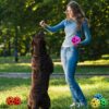 71Z7TDpa4rL._SL1500_.jpg PremiumAV Rubber Bouncy Ball for Pets – Durable Interactive Chew & Fetch Toy for Dogs & Cats, Versatile Fun Play Ball for Small to Large Breeds
