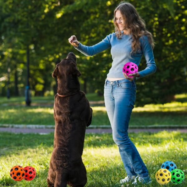 71Z7TDpa4rL._SL1500_.jpg PremiumAV Rubber Bouncy Ball for Pets – Durable Interactive Chew & Fetch Toy for Dogs & Cats, Versatile Fun Play Ball for Small to Large Breeds