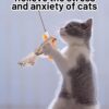 Cat Nip Bird Toys for Persian Cats, Interactive Laser Light Toys, 1 Set of Durable Feather for Indoor Cats, Engaging Playtime for Active