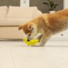71aAlBPrPUL._SL1500_.jpg Banana Dog – Squeaky Toys for Dogs, Latex Dog Toys for Medium Dogs (0–20kgs) – Yellow