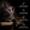 Sheba Melty Premium Lickable Creamy Cat Treats, Maguro Selection – Tuna & Tuna & Prawn Flavors, 4 Sticks x 12g (48g), Creamy Treats for Bonding
