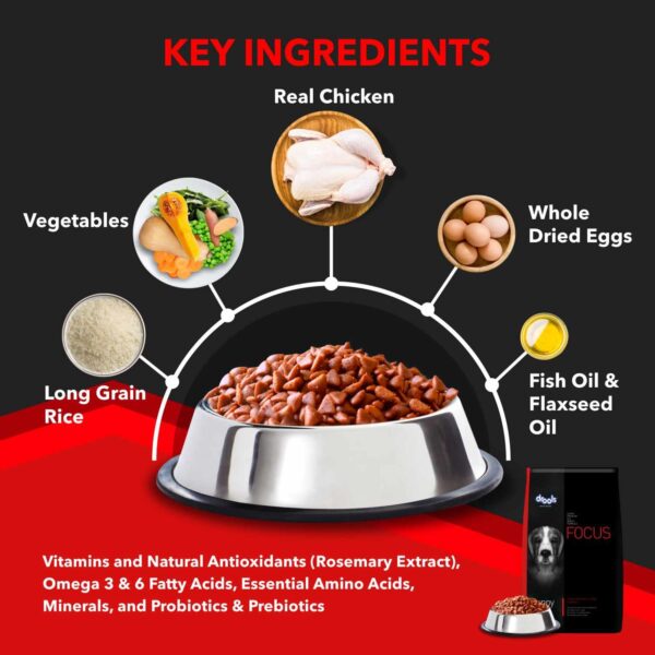 71aNa8cw3GL._SL1500_.jpg Drools Focus Adult Super Premium Dry Dog Food, 12 kg (+1kg Free Inside), Total 13 Kg Pack
