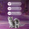 71aRjc4FsML._SL1500_.jpg Whiskas Junior Mother Cat & Kitten (2-12 Months) Dry Cat Food, Mackerel Fish Flavour, 450 g, Contains 41 Essential Nutrients, Complete & Balanced Nutrition for Mother Cats & Kittens