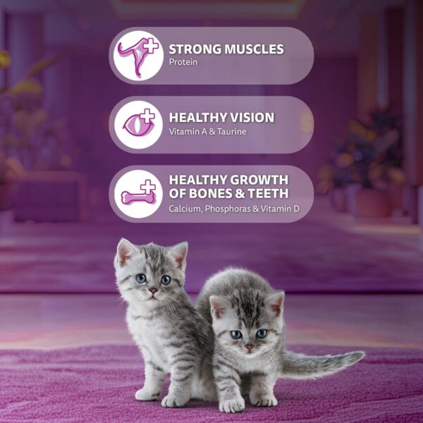 71aRjc4FsML._SL1500_.jpg Whiskas Junior Mother Cat & Kitten (2-12 Months) Dry Cat Food, Mackerel Fish Flavour, 450 g, Contains 41 Essential Nutrients, Complete & Balanced Nutrition for Mother Cats & Kittens