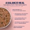 71aUptpKGHL._SL1080_.jpg Heads Up For Tails Sara's Wholesome Food - Chicken & Brown Rice Puppy Meals - Wet Food for Growing Puppies|High-Protein,Puppy Food with 60% Real Meat|No Preservatives or Additives|100 gm|Pack of 5