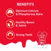 Drools Absolute Dog Bone Treats, Milk Flavour 600g 40peices Jar, All Life Stages