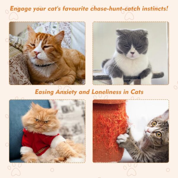 Cat Toys, Hanging Spring Toys for Cats, Interactive Cat Playing Toy with Feathers and Crinkle Paper, Kitten Toys for Indoor Play, 2-Pack