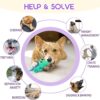 71bPjFsFcWL._SL1500_.jpg Sage Square Durable, Interactive Dog Squeaky Crocodile Toy with Built-in Squeaker for Tugging, Fetching and Cleaning Teeth. Suitable, Keeps Dogs Happy (Random Colour)