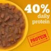 Pedigree Adult Wet Dog Food, Grilled Liver Chunks Flavour in Gravy with Vegetables, 70 g (Pack of 30), Complete & Balanced Nutrition for Adult Dogs