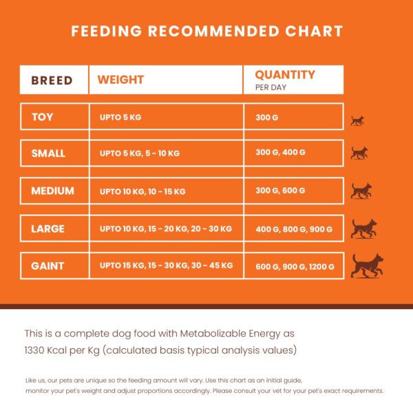 Homestyle Puppy & Adult Dog Wet Food 300g | 39 Essential Nutrients | High Protein, Chicken & Vegetables | No Preservatives, No Added Water, No Grains | Complete & Balanced Meal
