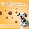 71c-D0TaW4L._SL1500_.jpg BARK OUT LOUD By Vivaldis - Chicken Swirls Dog Treat Flake|Nutritious Ingredient Treats|Rich In Protein, Omega 3 Fatty Acids, Antioxidants For Dogs Of All Life Stages - 100 Gm, Pack Of 1