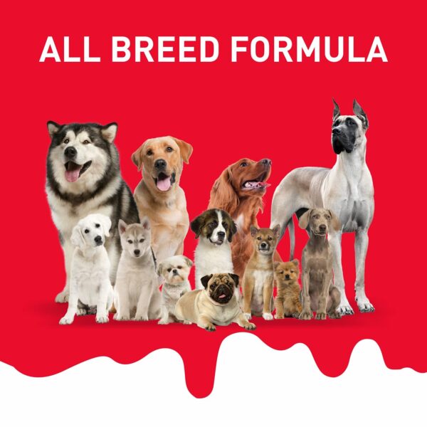 Drools Absolute Dog Bone Treats, Milk Flavour 600g 40peices Jar, All Life Stages