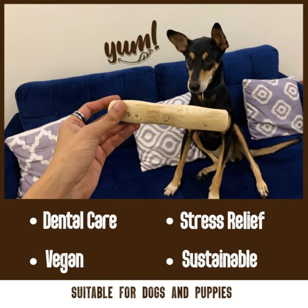 Goofy Tails Coffee Wood Dog Toys| Splinter Free, Caffeine Free, Dog Chew Toys | Natural, Safe Puppy Toy | Dental Care Toy for Dogs & Puppies | Small, 1 Piece