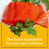 71d3JmdXiZL._SL1500_.jpg Purepet Wet Cat Food,Real Tuna Flavour 1.5kg(50g X 30) Pack of 30
