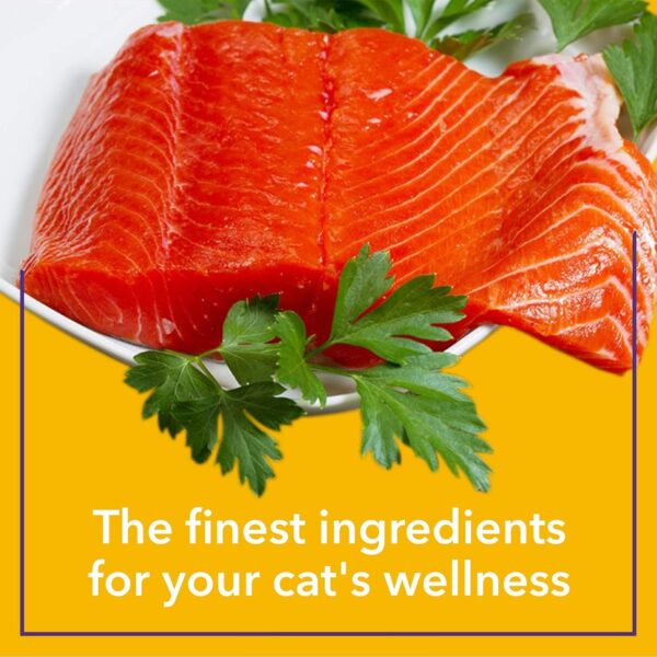 71d3JmdXiZL._SL1500_.jpg Purepet Wet Cat Food,Real Tuna Flavour 1.5kg(50g X 30) Pack of 30