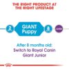 Royal Canin Giant Puppy Food, 1 Kg, Dry Food, Supports Immune System, Bone & Joint Health, Promotes Growth controlled Energy