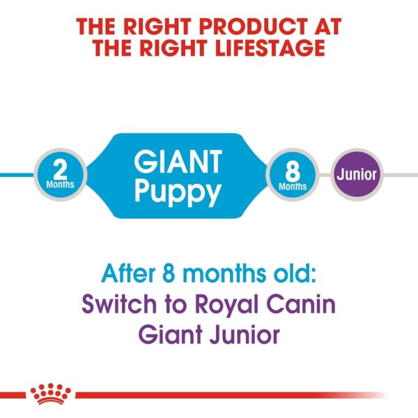Royal Canin Giant Puppy Food, 1 Kg, Dry Food, Supports Immune System, Bone & Joint Health, Promotes Growth controlled Energy