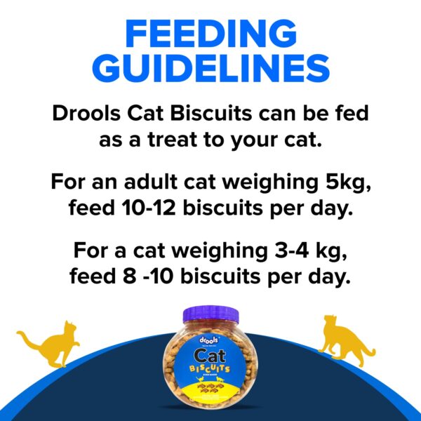 Drools Real Chicken Cat Biscuits, Treats Jar - 110gm, All Life Stages